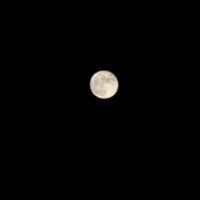 Der Mond am Berliner Nachthimmel