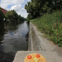 Berliner Gesicht am Landwehrkanal