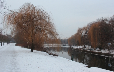 Winter 2012/2013