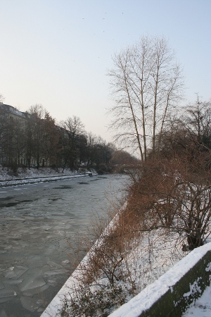 Bäume am Landwehrkanal in Berlin - Winter 2009/2010