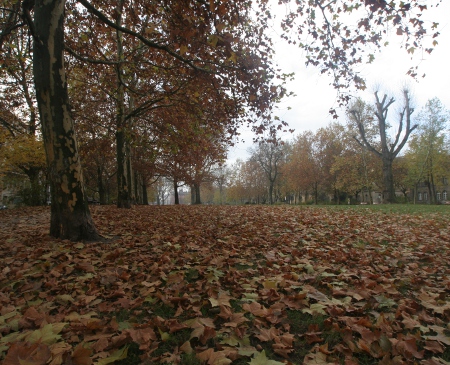 Herbstspaziergang durch Kreuzberg