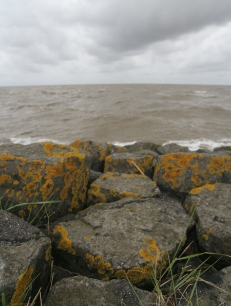 Steine an der Nordseeküste