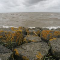 Steine an der Nordseeküste