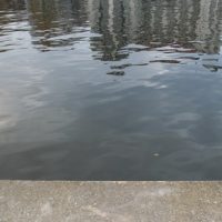 Blick ins Wasser