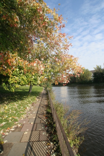 Das Foto zeigt die Farben im Herbst 2010