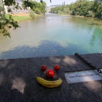 Flüsse: Sihl und Limmat in Zürich