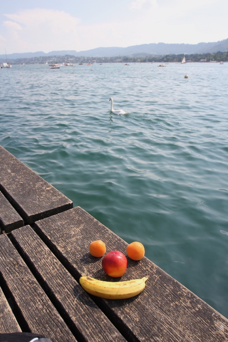 Zürichsee mit Gesicht und Schwan